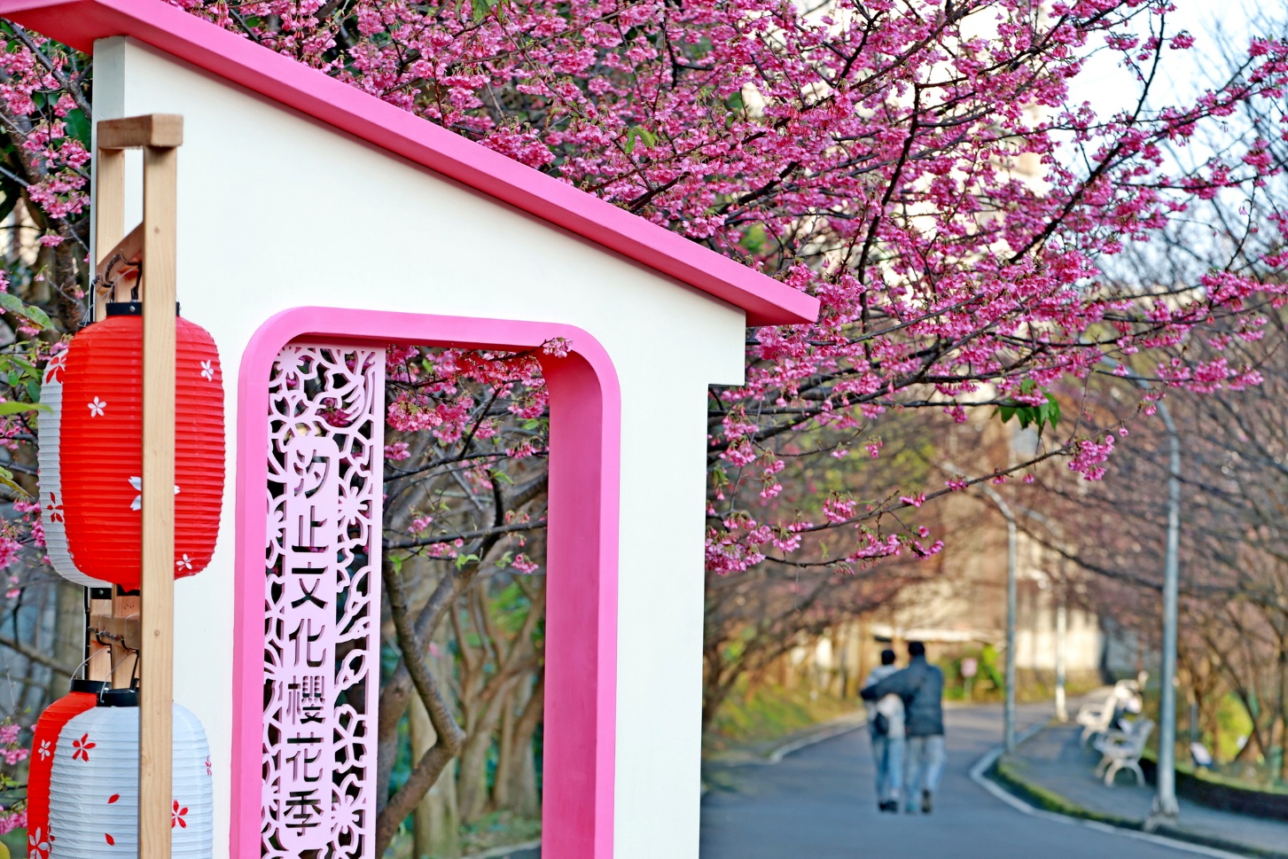 114年度文化櫻花季得獎作品-1